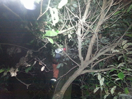 f0183484_06250388.jpg