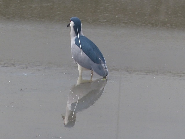 f0357487_23401873.jpg