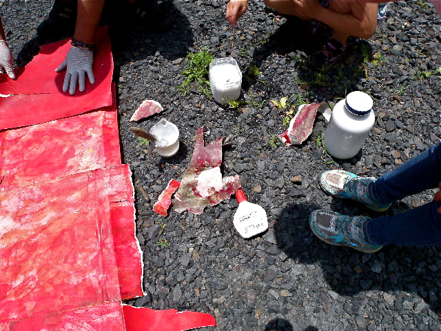 a0199297_1724169.jpg