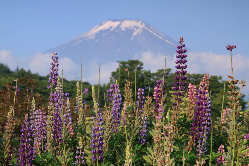 a0188405_04004631.jpg
