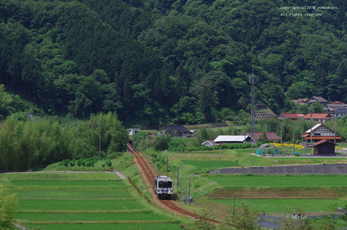 d0309612_053196.jpg