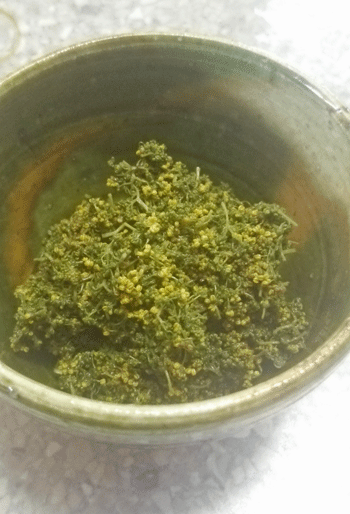 e0020214_17142555.gif