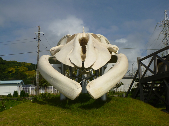 a0226620_16534641.jpg