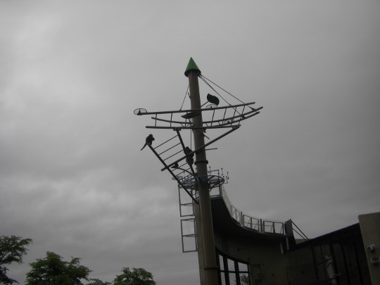 c0074721_15102130.jpg