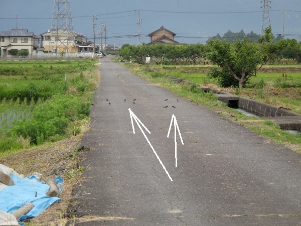 f0143123_13355843.jpg