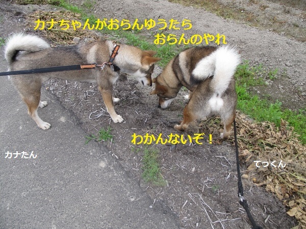 f0143123_13360968.jpg