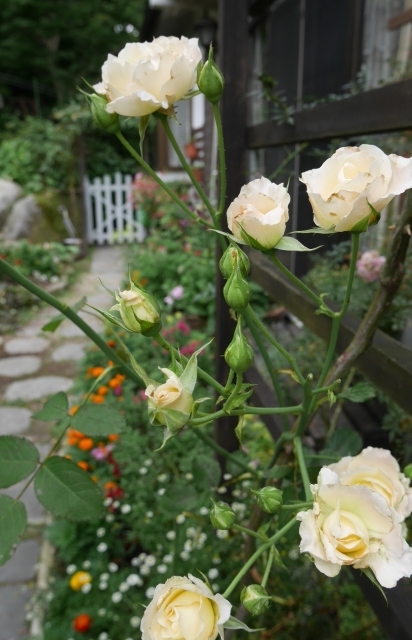 f0231829_23524972.jpg