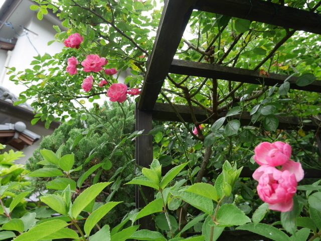 f0231829_23531591.jpg