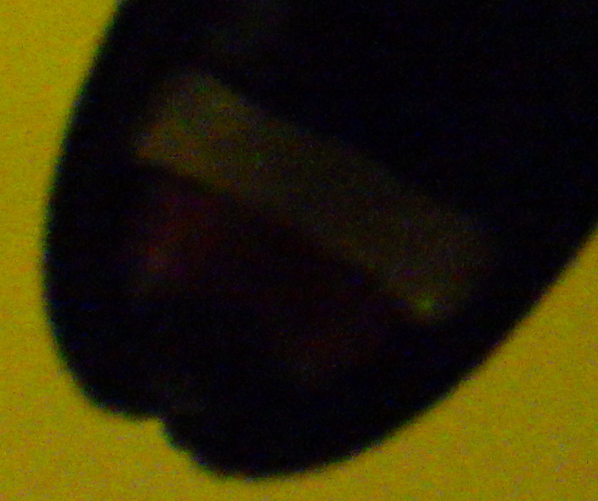 c0337631_02221455.jpg