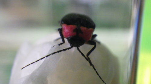 c0337631_02240880.jpg