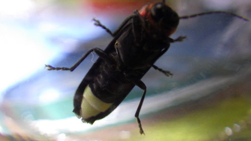 c0337631_02243752.jpg