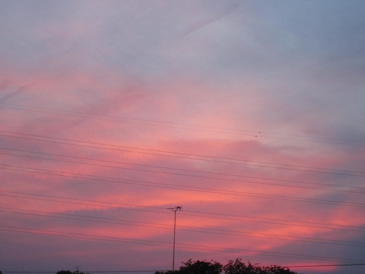 f0002833_20162979.jpg