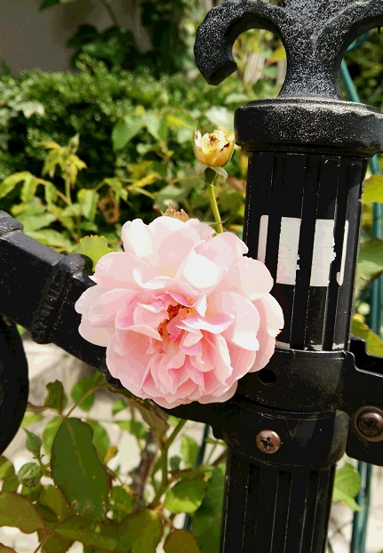 f0002833_20414276.jpg