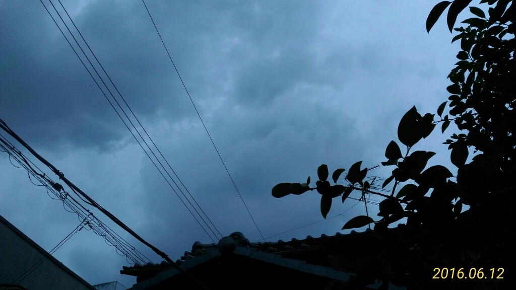 d0343540_16460522.jpg