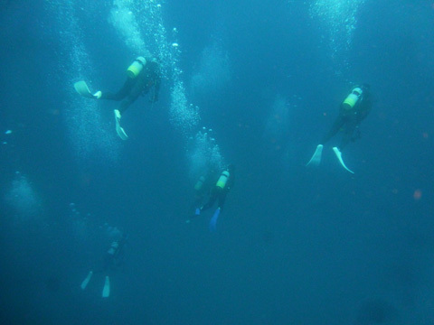 f0014842_17170578.jpg
