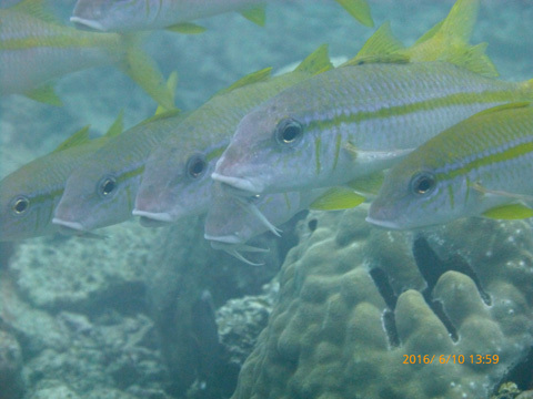 f0014842_20392501.jpg