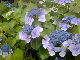 b0028845_2128391.jpg