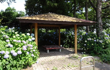 e0172950_18445276.jpg