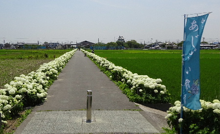 e0172950_18454567.jpg