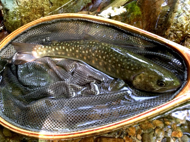 f0163561_2252361.jpg