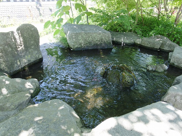 e0078069_82133.jpg