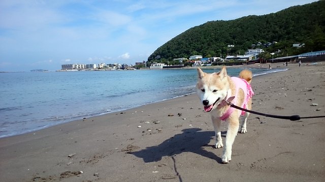 b0274270_11162789.jpg