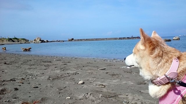 b0274270_11172137.jpg