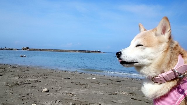 b0274270_11173179.jpg