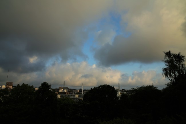 f0310873_06304671.jpg
