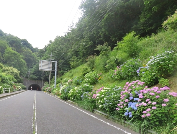 e0264374_22344119.jpg