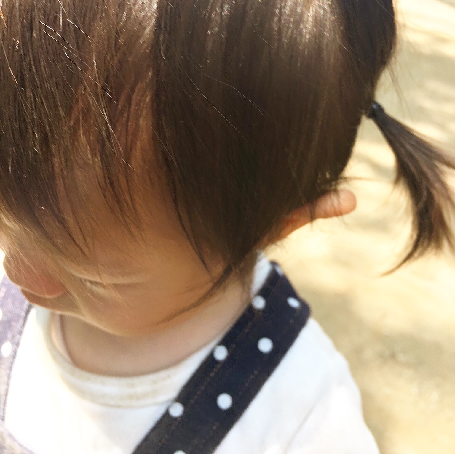 d0041575_21584213.jpeg