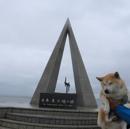 f0230777_20594276.jpg