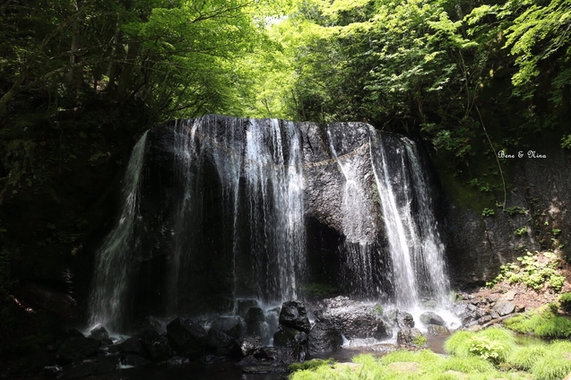 c0283778_1705231.jpg