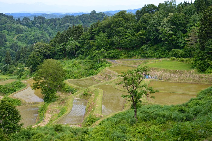 d0341880_2029073.jpg