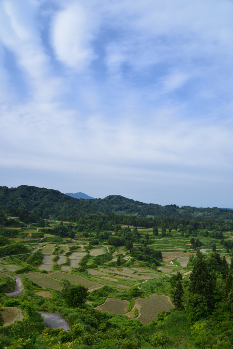 d0341880_2033014.jpg