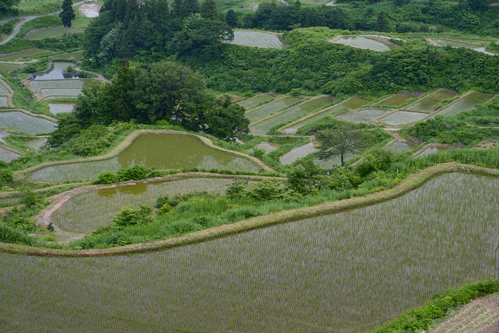 d0341880_2033675.jpg