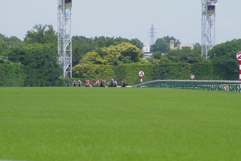 f0362681_06203668.jpg