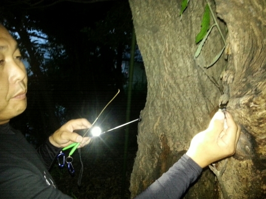 f0183484_09195620.jpg