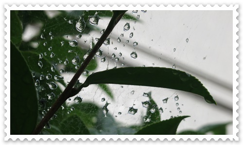 b0364186_21124869.jpg