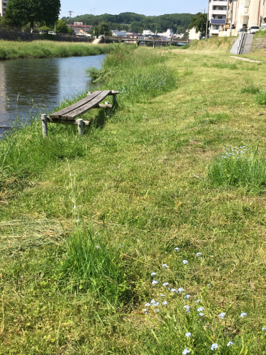 e0152493_20194903.jpg