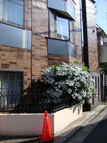 c0322794_946308.jpg