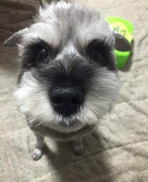b0188998_00500001.jpeg
