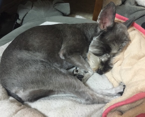 b0188998_00503094.jpeg