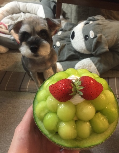 b0188998_00505988.jpeg