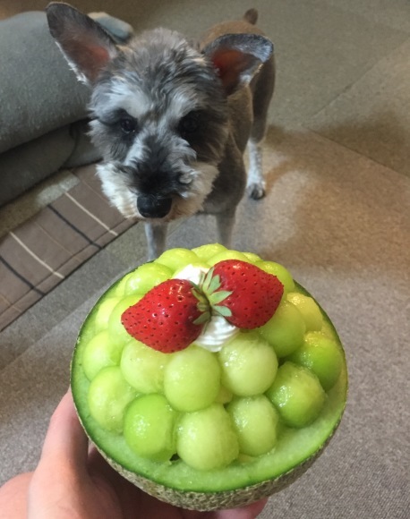 b0188998_00511258.jpeg