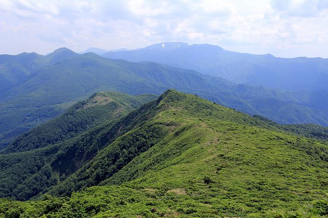 e0137200_2118455.jpg