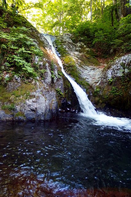 e0137200_218258.jpg