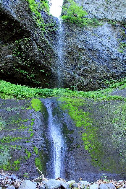 e0137200_2184637.jpg