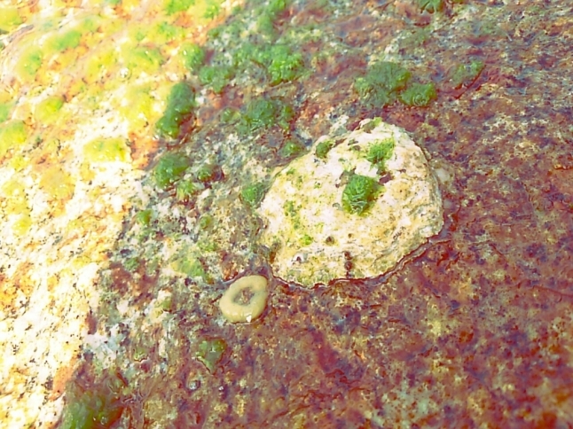 c0016208_07071309.jpg