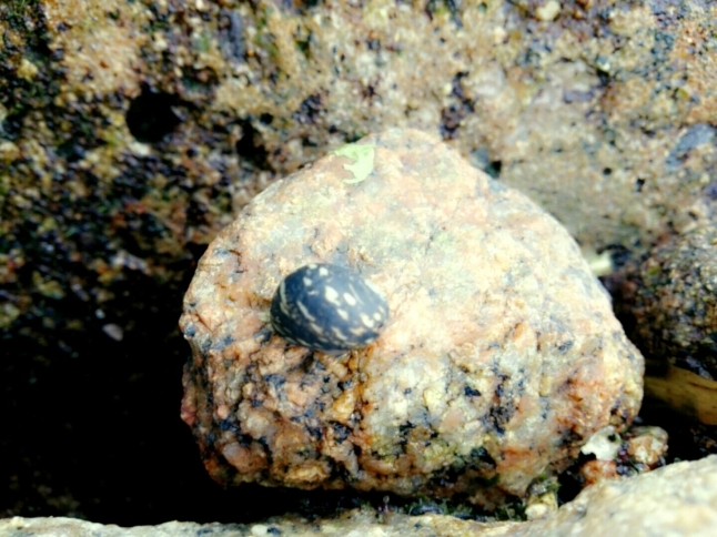 c0016208_07075163.jpg